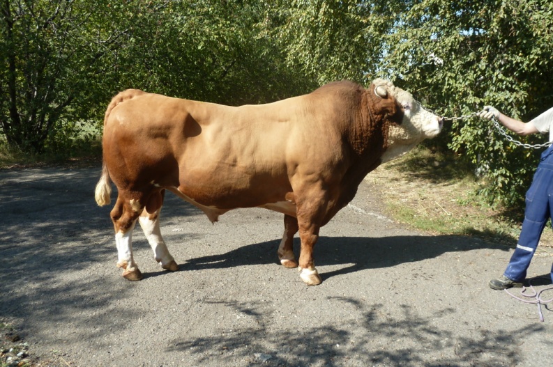 ЗАХАР  29905  АЛС-2259